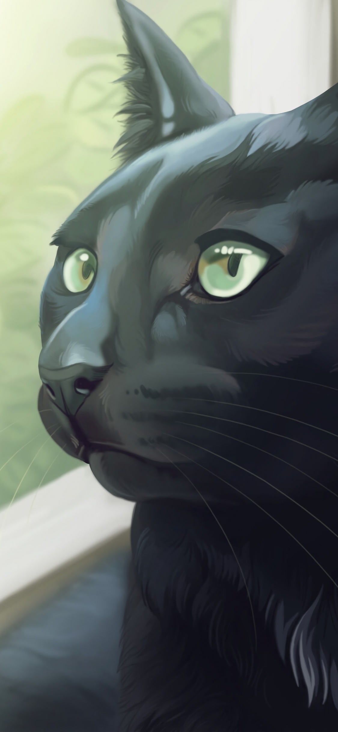 Обои черная кошка, корат, кот, кошачьих, бакенбарды в разрешении 1125x2436