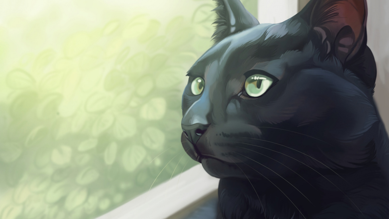 Обои черная кошка, корат, кот, кошачьих, бакенбарды в разрешении 1366x768