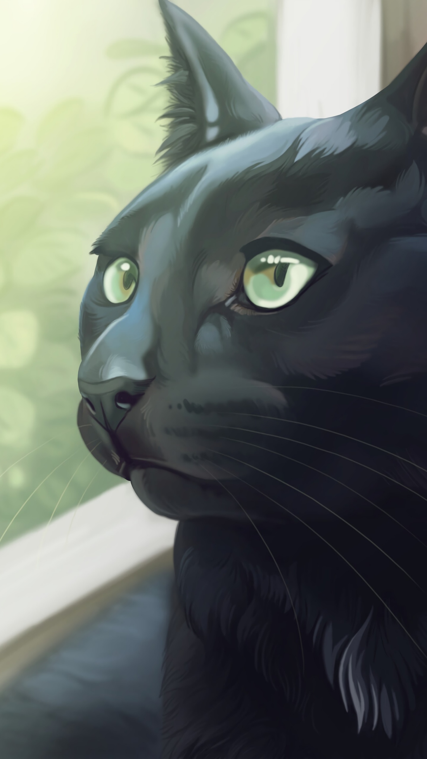 Обои черная кошка, корат, кот, кошачьих, бакенбарды в разрешении 1440x2560