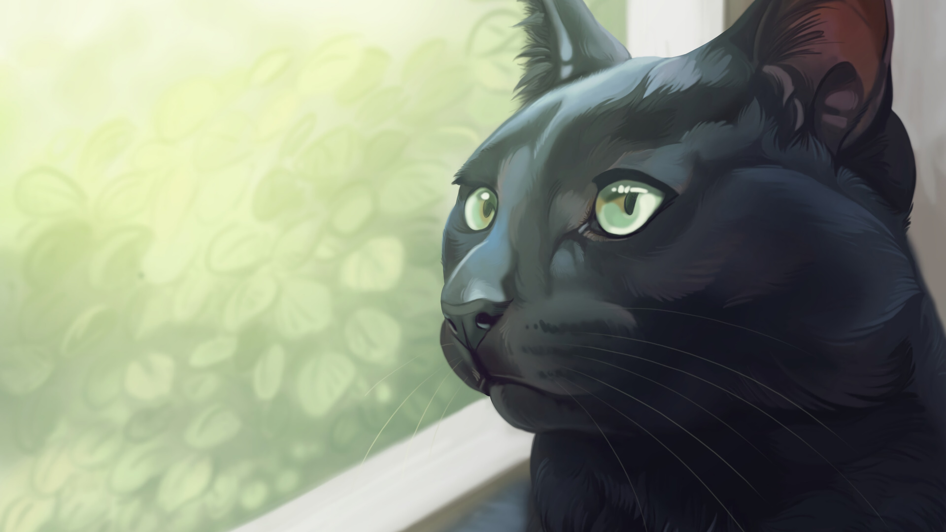 Обои черная кошка, корат, кот, кошачьих, бакенбарды в разрешении 1920x1080