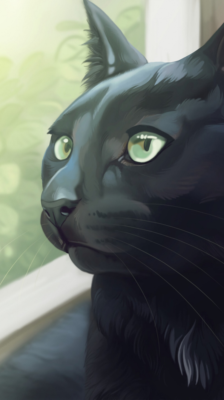 Обои черная кошка, корат, кот, кошачьих, бакенбарды в разрешении 750x1334