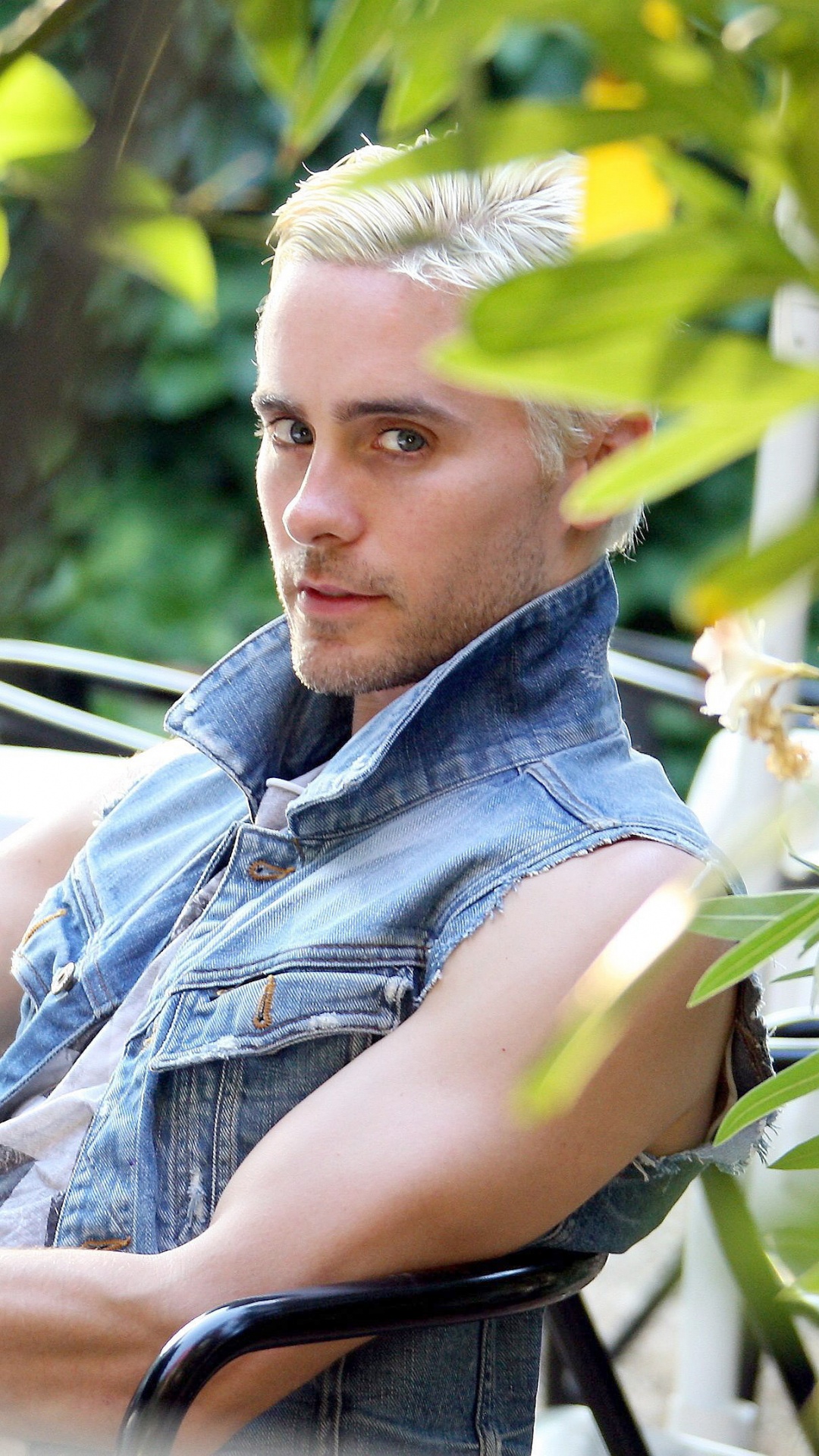 Обои растение, дерево, досуг, отпуск, актер в разрешении 1080x1920