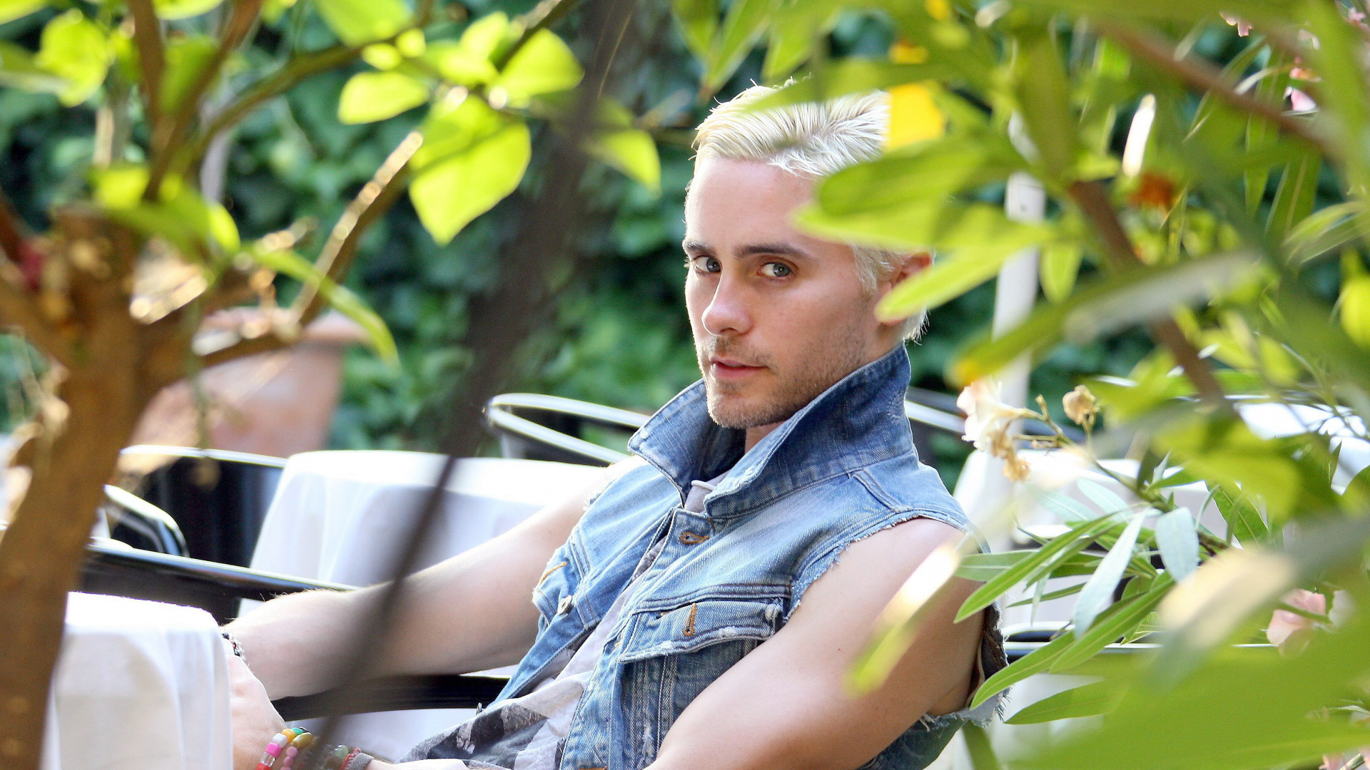 Обои растение, дерево, досуг, отпуск, актер в разрешении 1920x1080