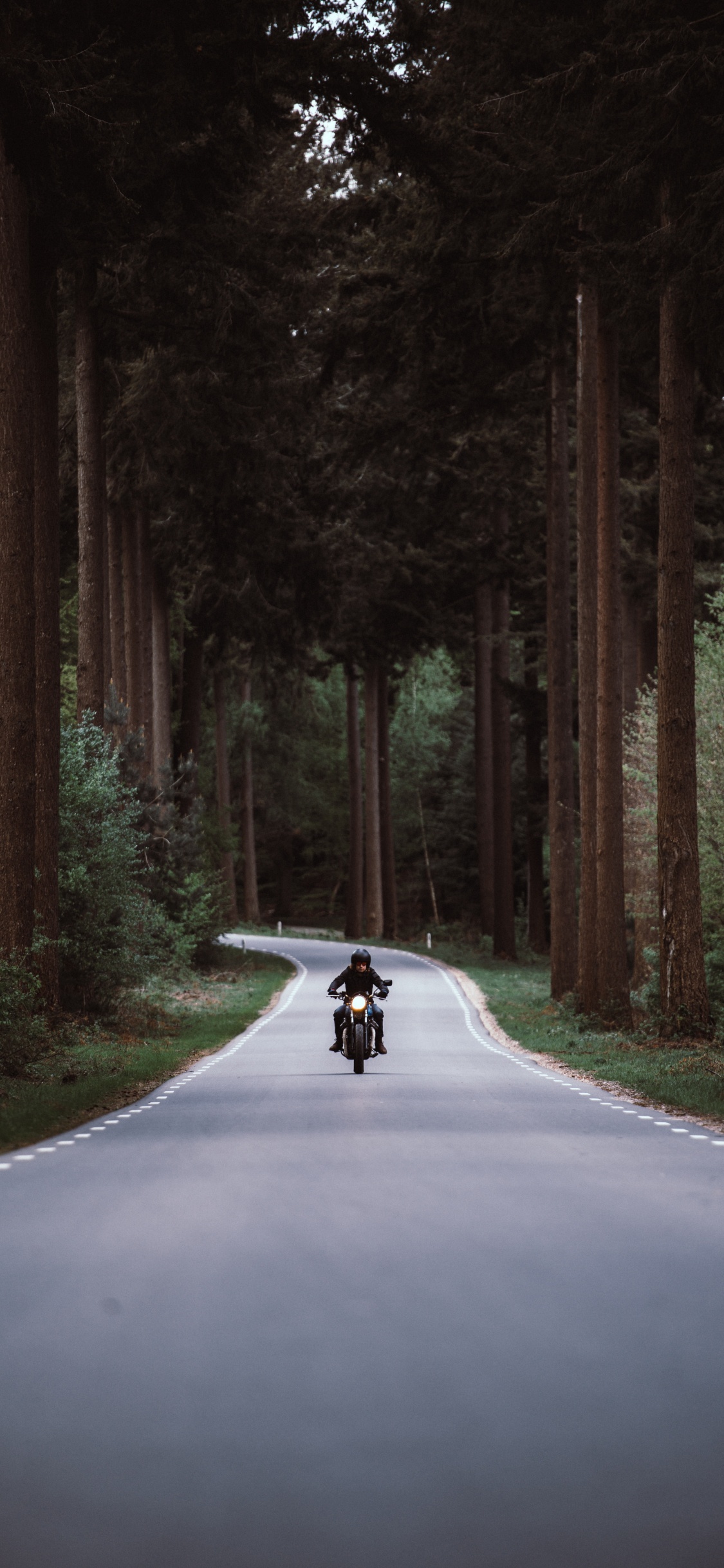 Обои мотоцикл, дорога, безопасность мотоцикла, дерево, окружающая среда в разрешении 1125x2436