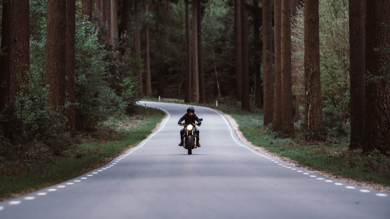 Обои мотоцикл, дорога, безопасность мотоцикла, дерево, окружающая среда в разрешении 1366x768