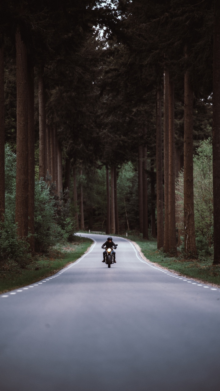 Обои мотоцикл, дорога, безопасность мотоцикла, дерево, окружающая среда в разрешении 720x1280