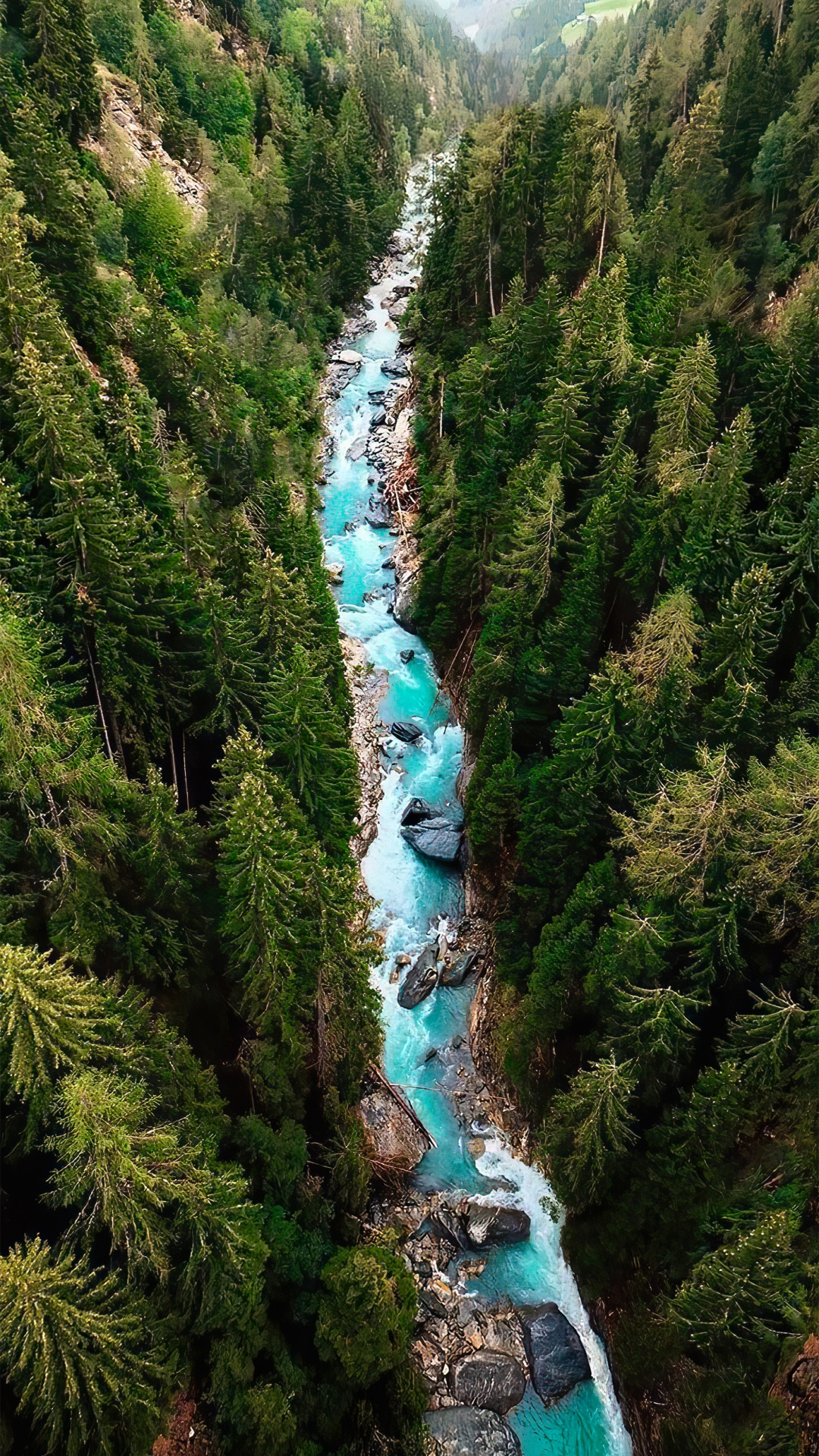 Обои дерево, вода, растение, природный ландшафт, водоток в разрешении 1080x1920