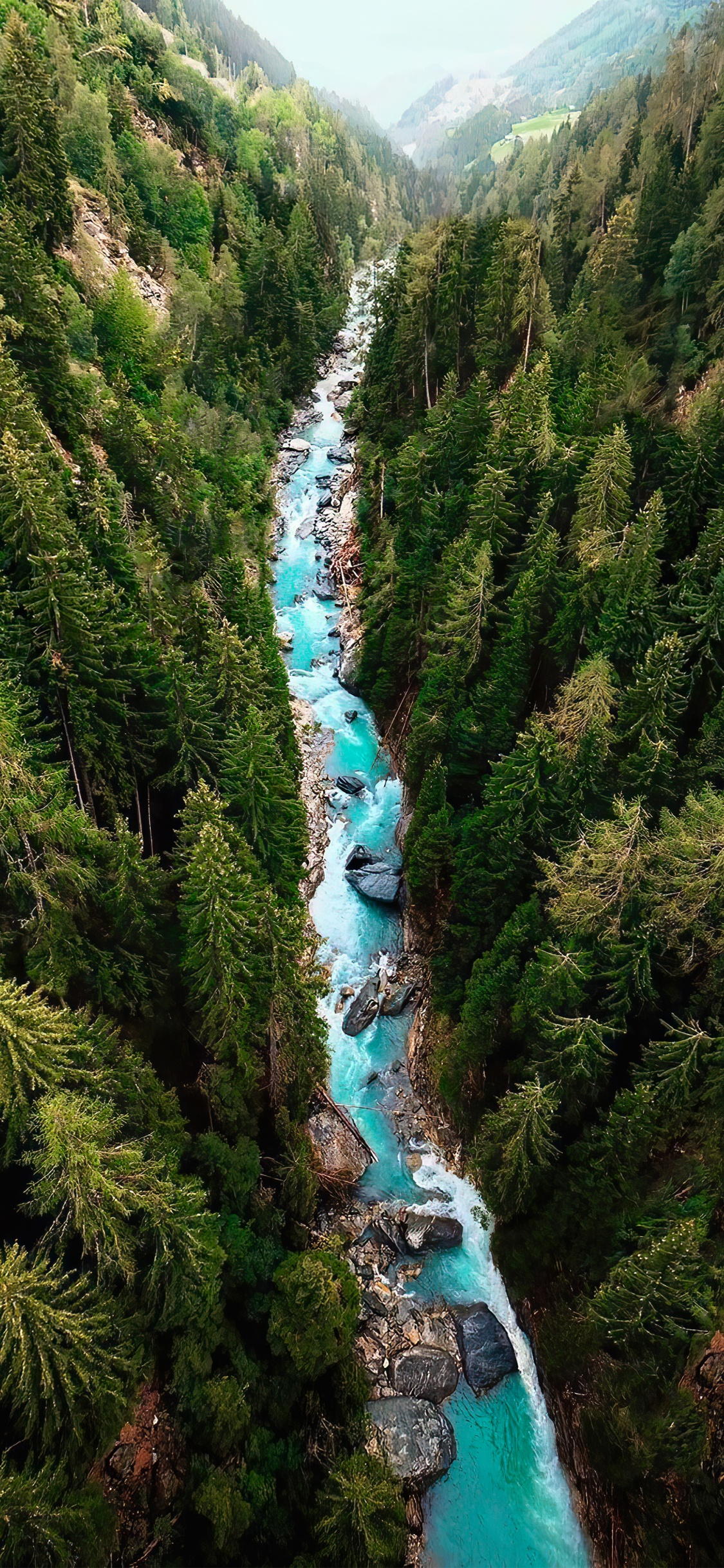 Обои дерево, вода, растение, природный ландшафт, водоток в разрешении 1125x2436
