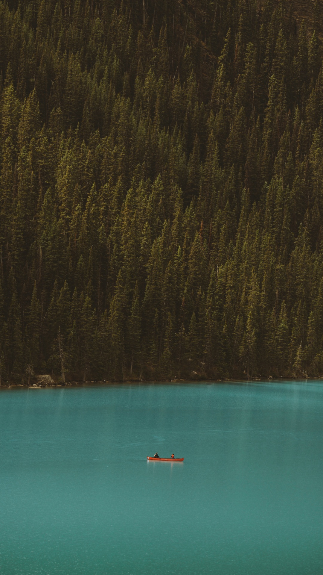 Обои вода, лес, звук, синий, чирок в разрешении 1080x1920