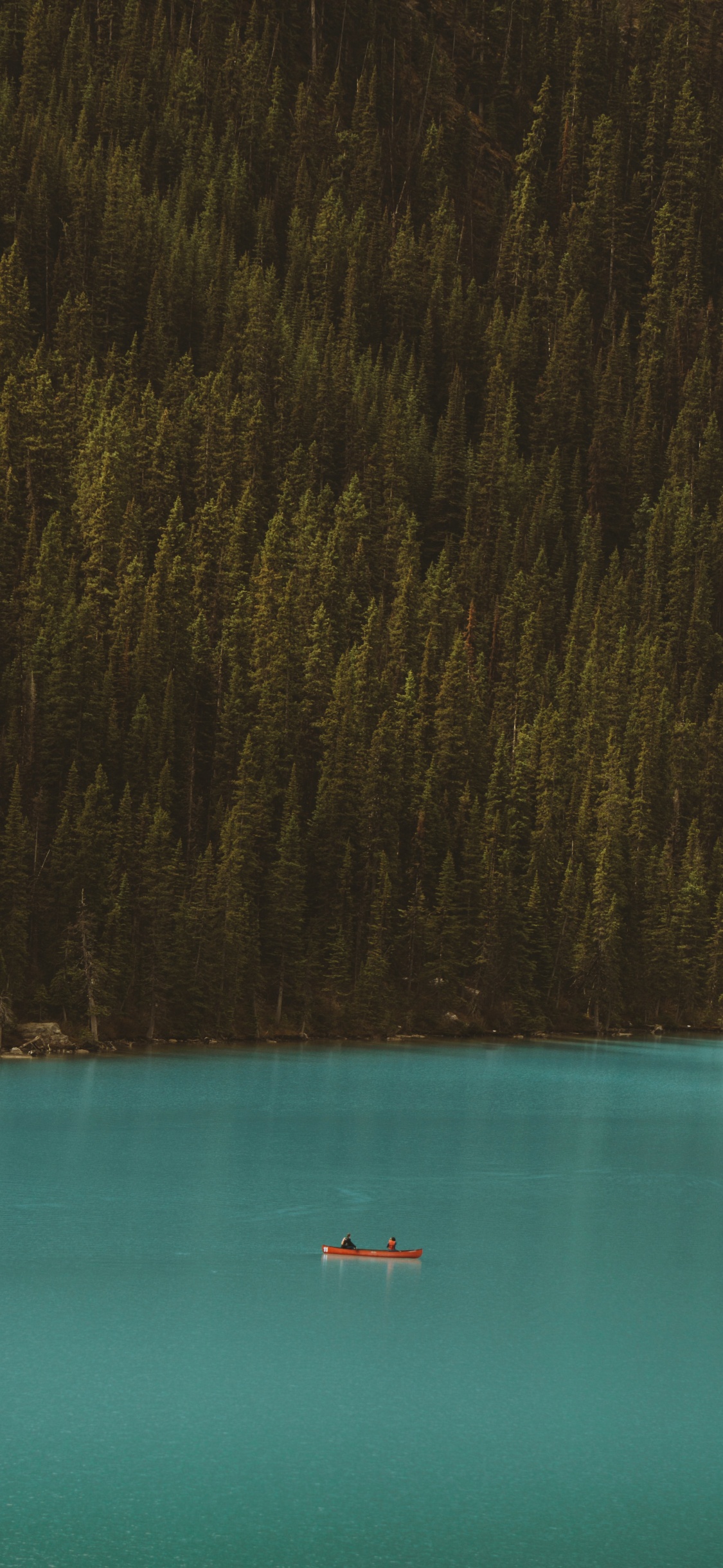 Обои вода, лес, звук, синий, чирок в разрешении 1125x2436