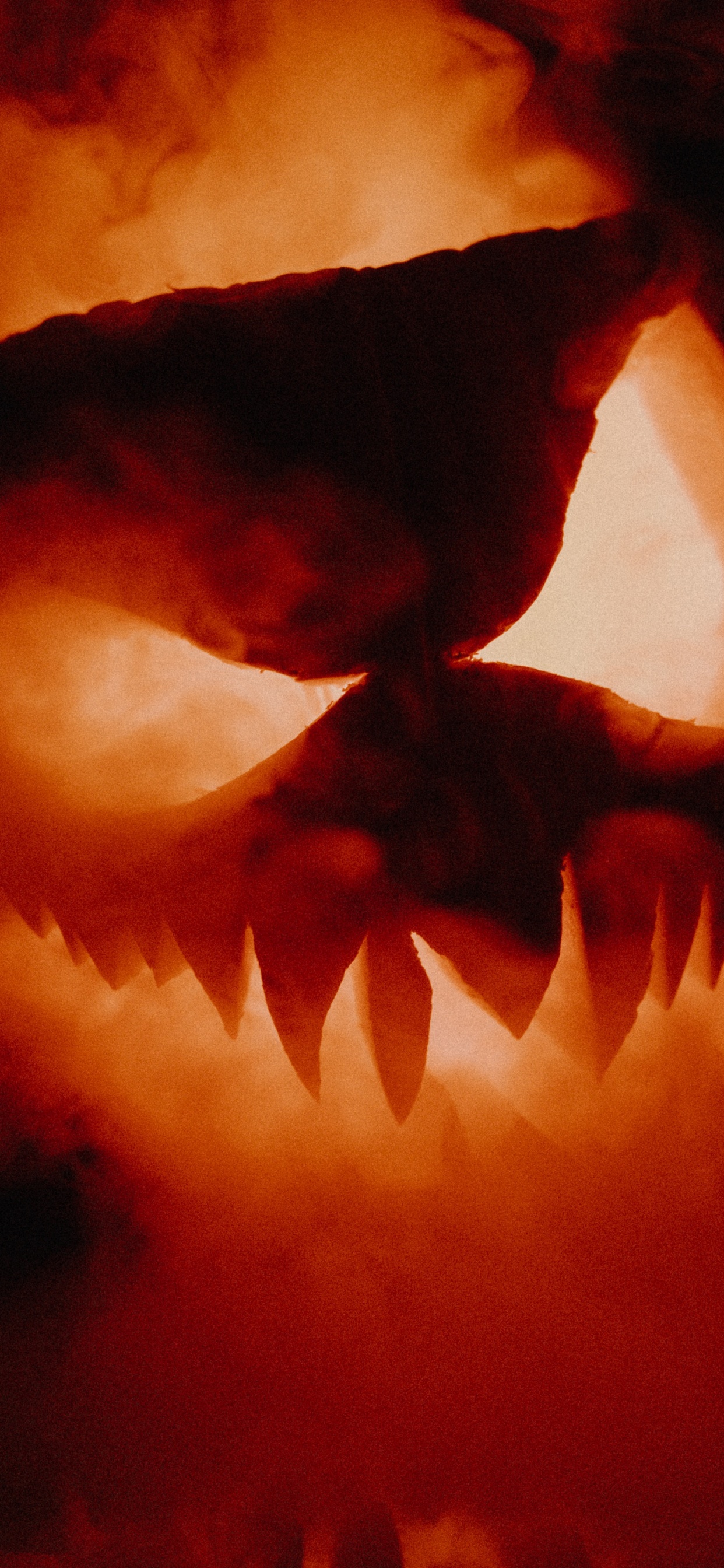 Обои тепло, рот, пламя, огонь, пасть в разрешении 1242x2688