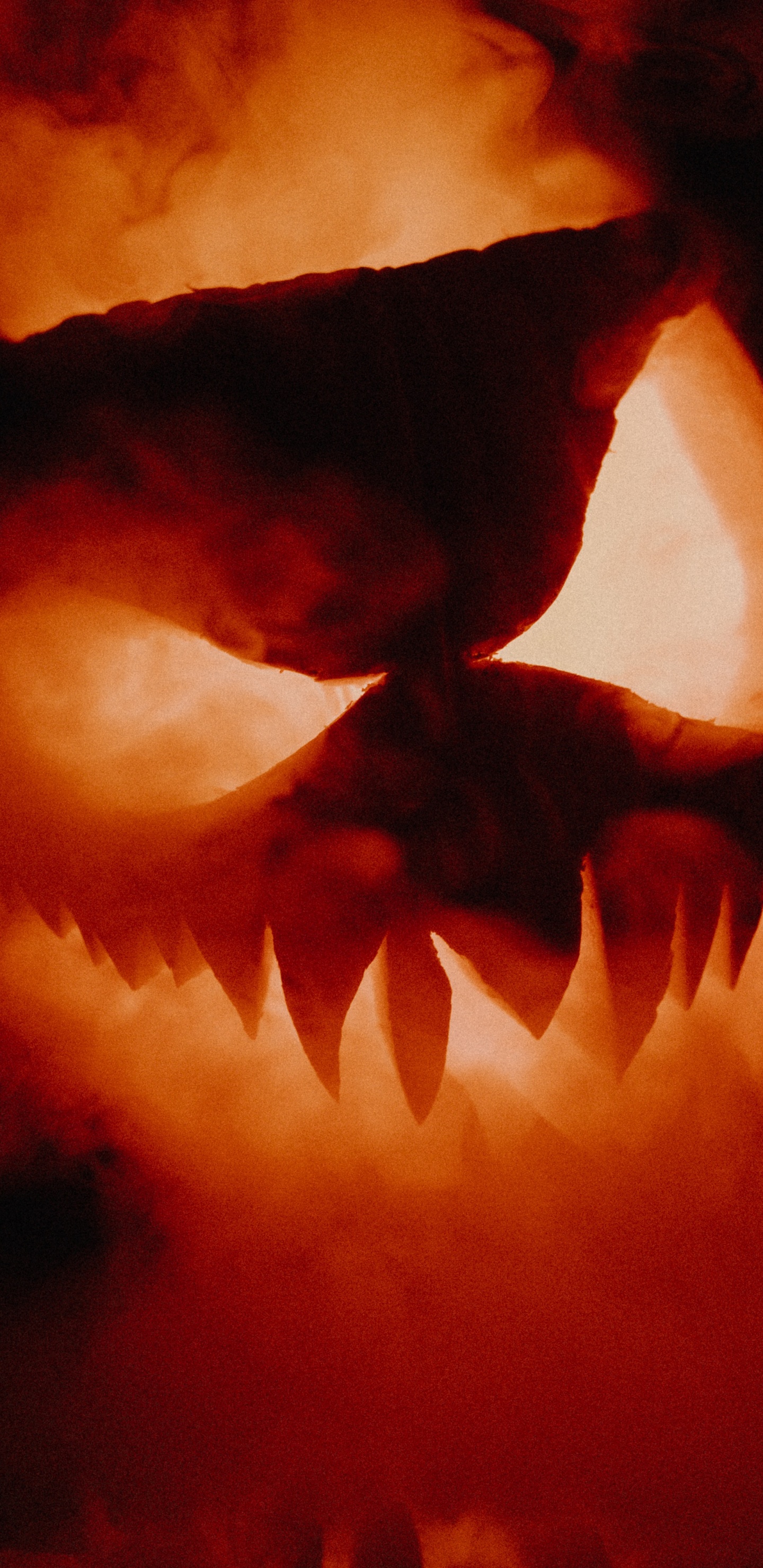 Обои тепло, рот, пламя, огонь, пасть в разрешении 1440x2960