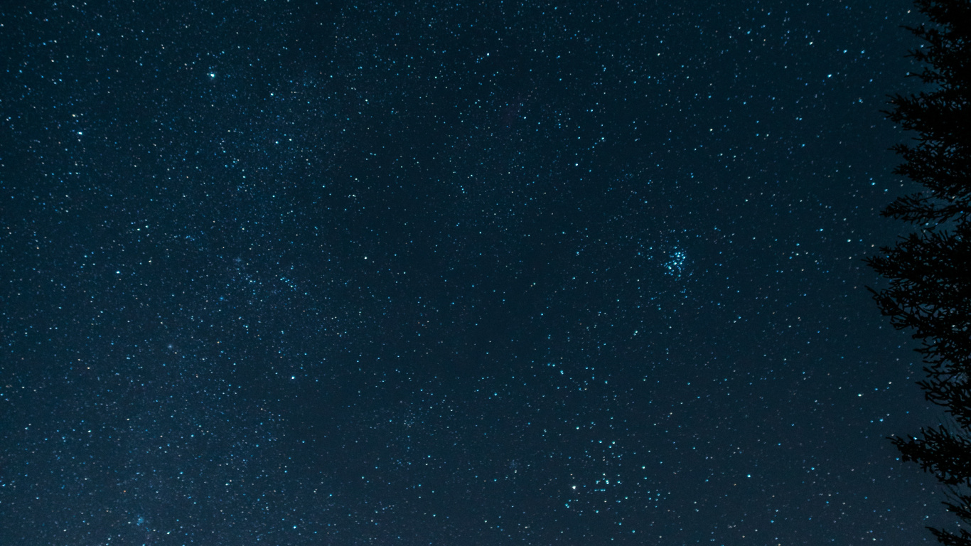 Обои черный, синий, ночь, атмосфера, дерево в разрешении 1366x768