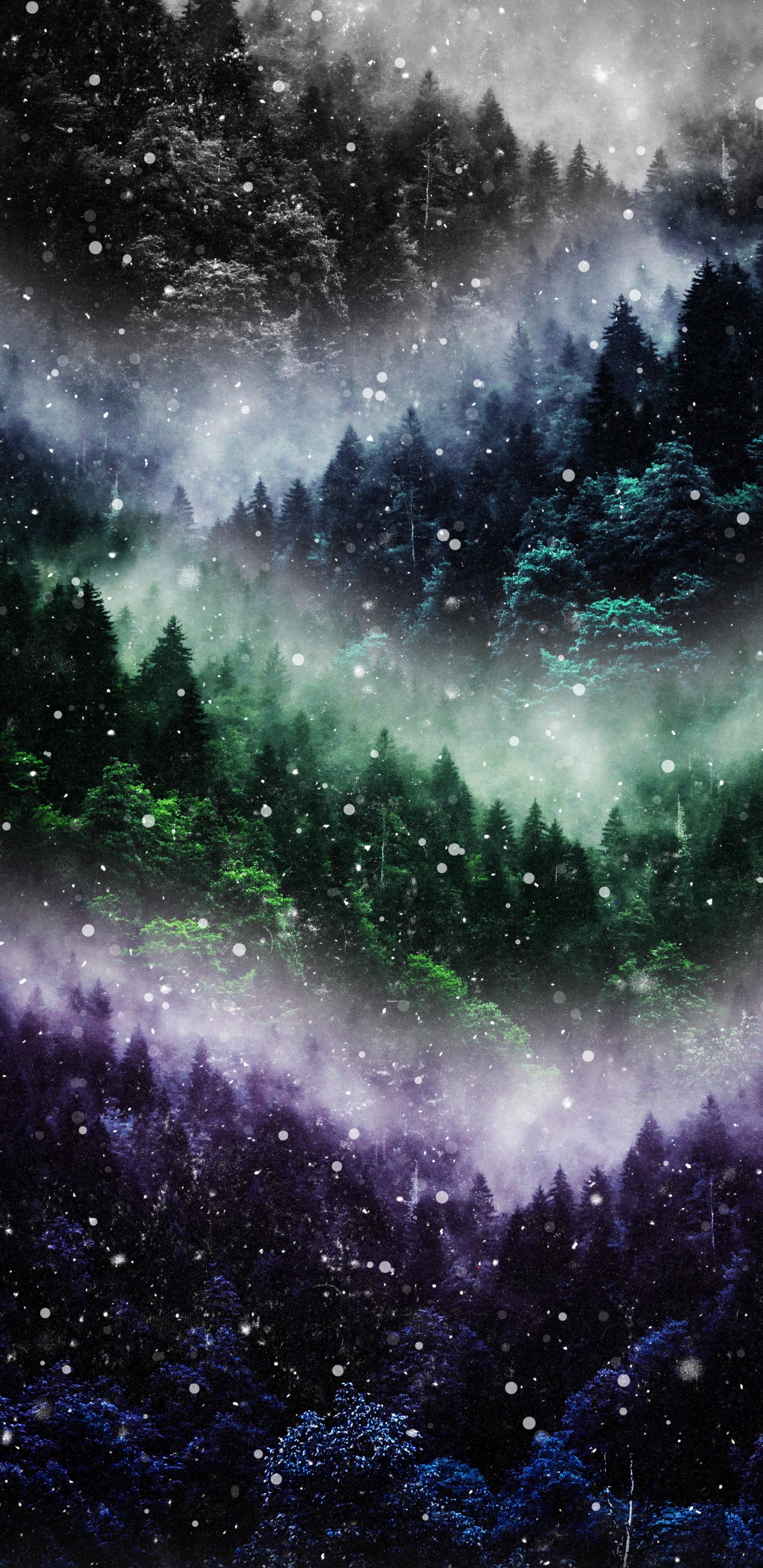 Обои природа, атмосфера, мир, туманность, природный ландшафт в разрешении 1440x2960