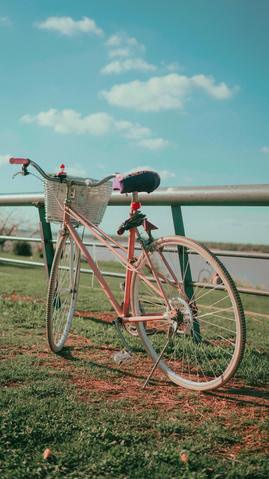 Обои велосипед, велосипедный спорт, велосипедное колесо, дорожный велосипед, руль велосипеда в разрешении 1080x1920