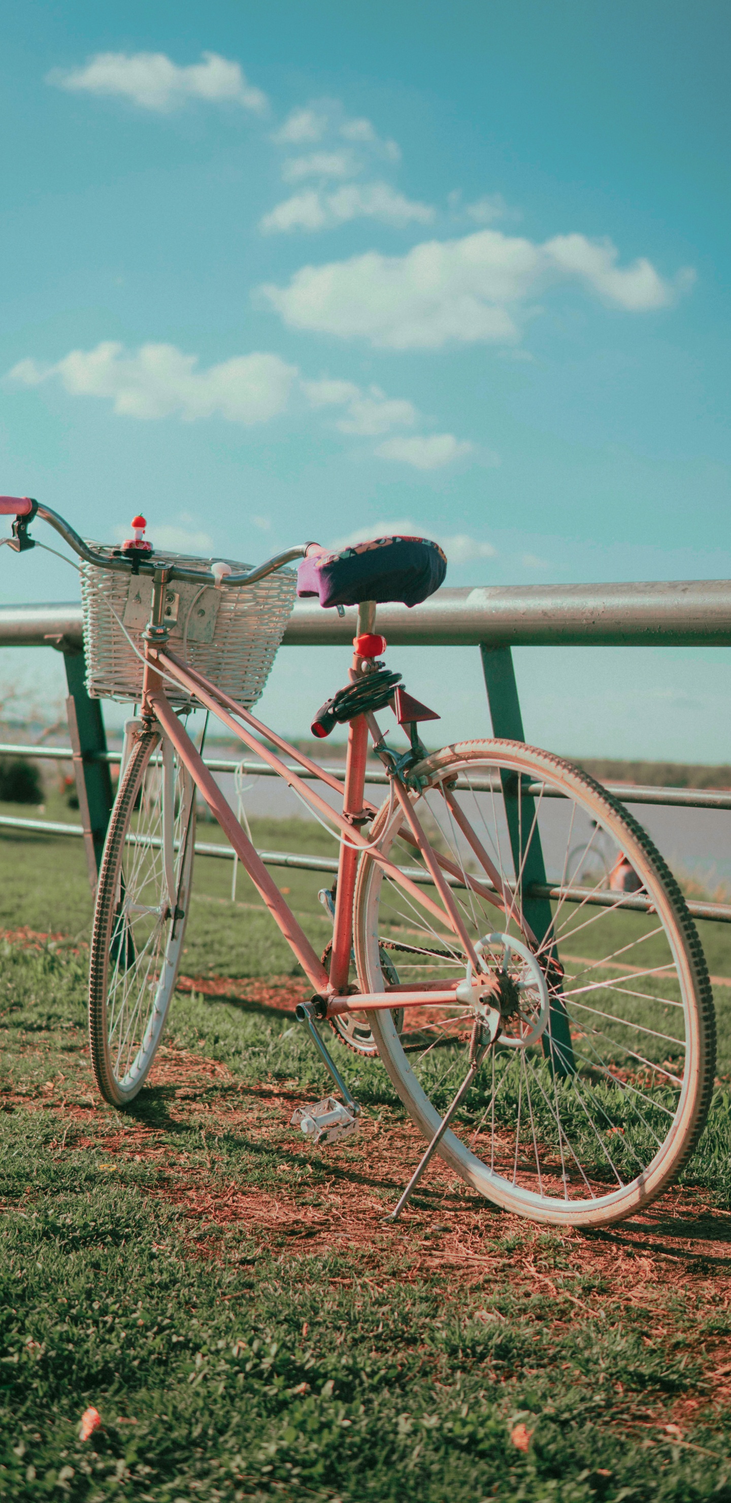 Обои велосипед, велосипедный спорт, велосипедное колесо, дорожный велосипед, руль велосипеда в разрешении 1440x2960