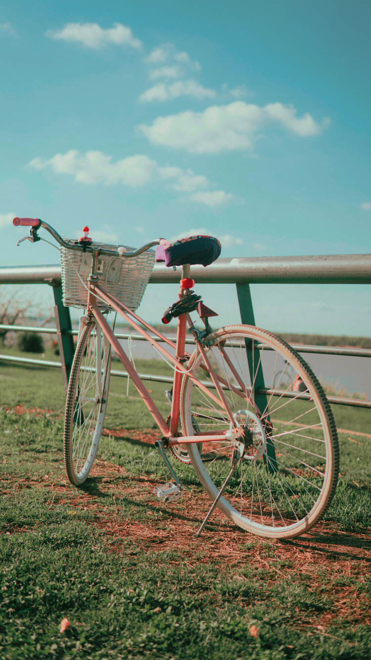 Обои велосипед, велосипедный спорт, велосипедное колесо, дорожный велосипед, руль велосипеда в разрешении 750x1334
