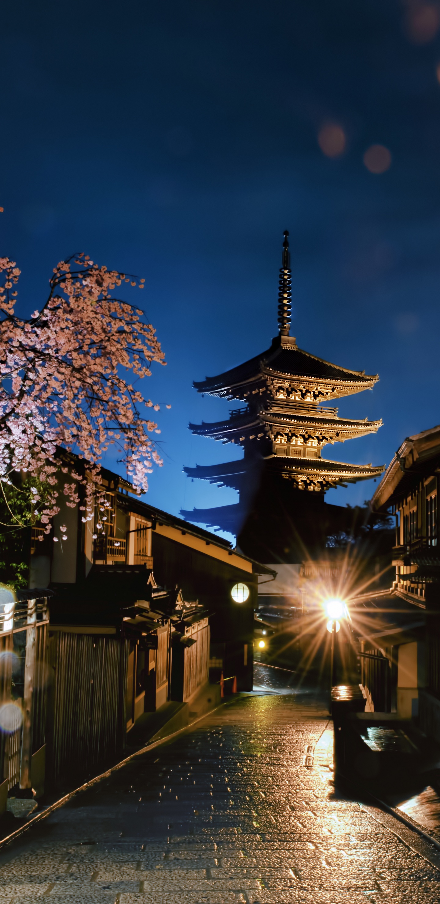 Обои Япония, освещение, облако, древесина, дорожное покрытие в разрешении 1440x2960