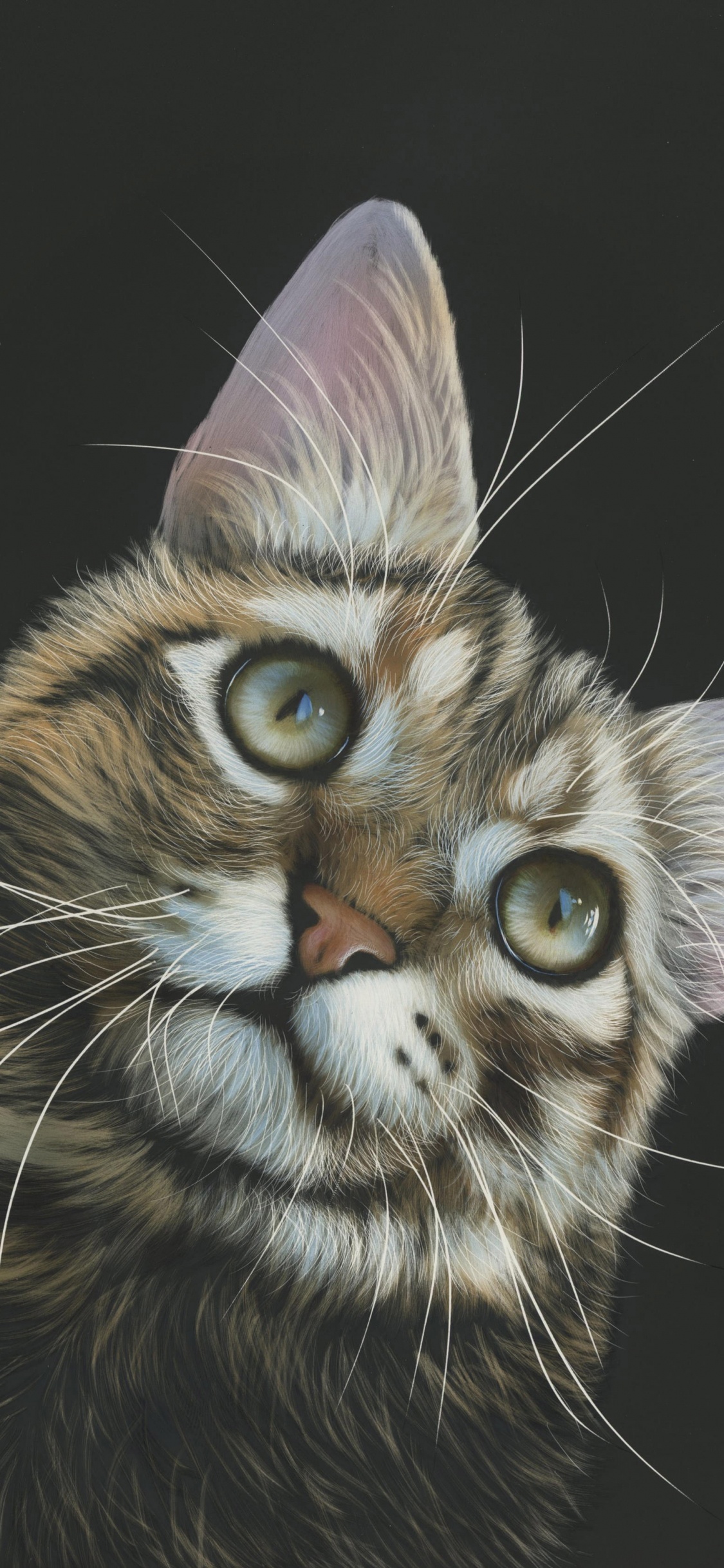 Обои кот, живопись, арт, бакенбарды, кошачьих в разрешении 1125x2436