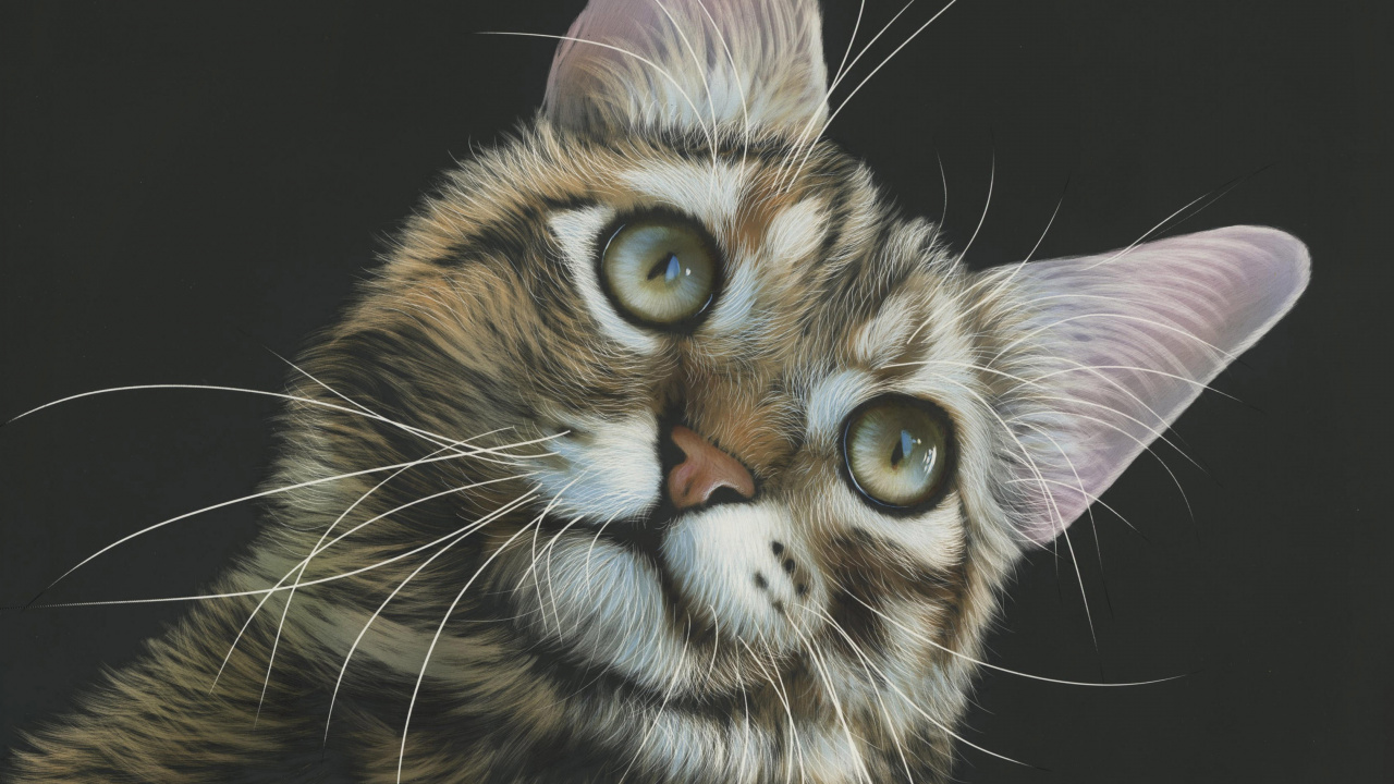 Обои кот, живопись, арт, бакенбарды, кошачьих в разрешении 1280x720