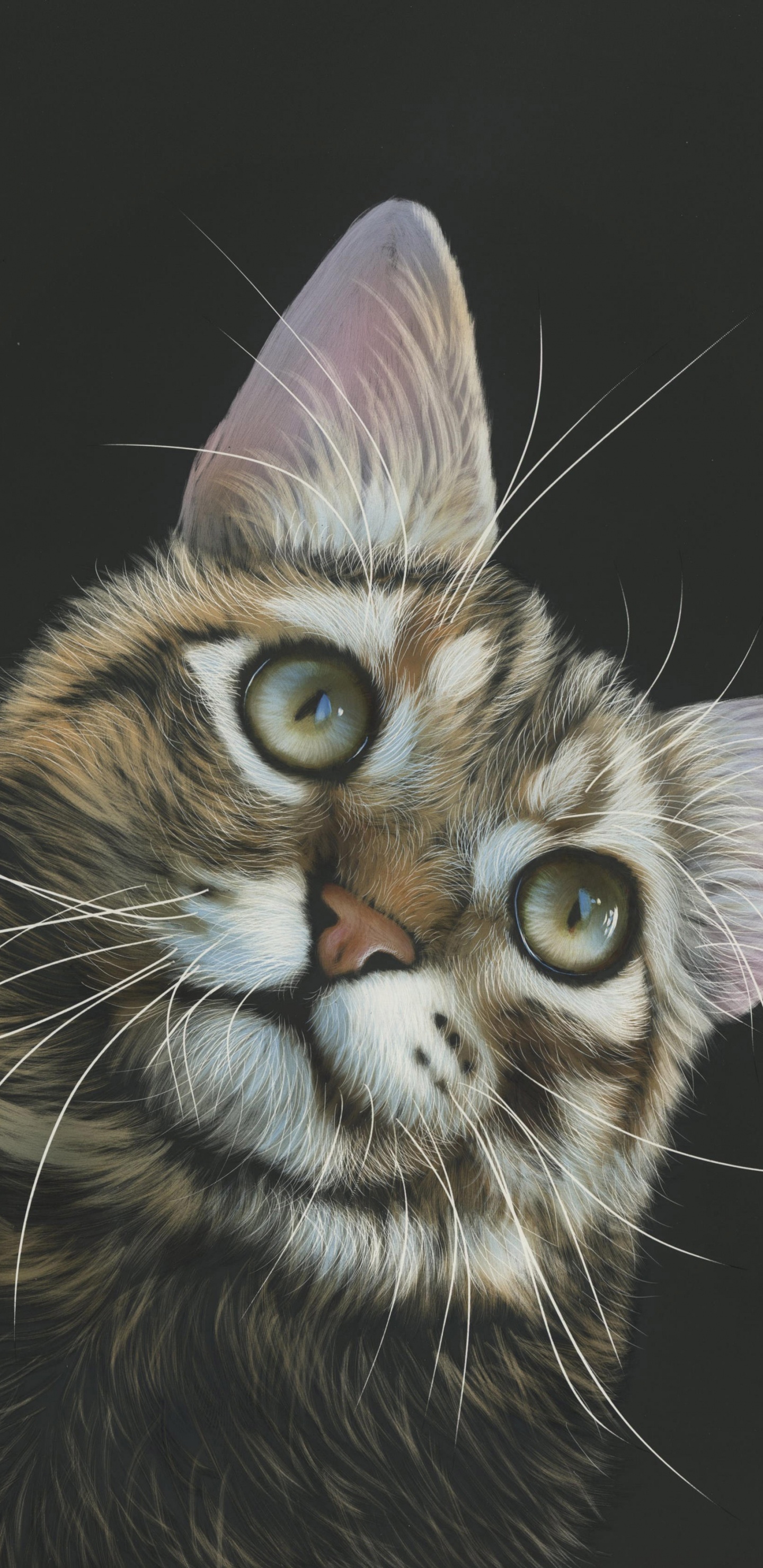 Обои кот, живопись, арт, бакенбарды, кошачьих в разрешении 1440x2960