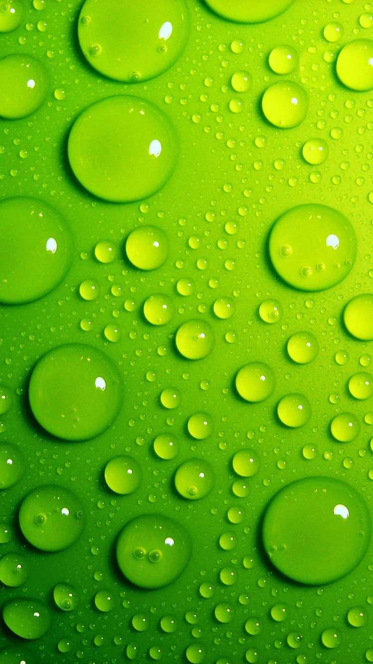 Обои зеленый, вода, роса, падение, влага в разрешении 750x1334