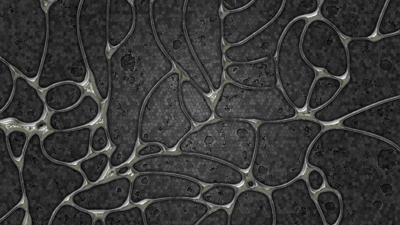 Обои лист, узор, дизайн, растение, дерево в разрешении 1280x720