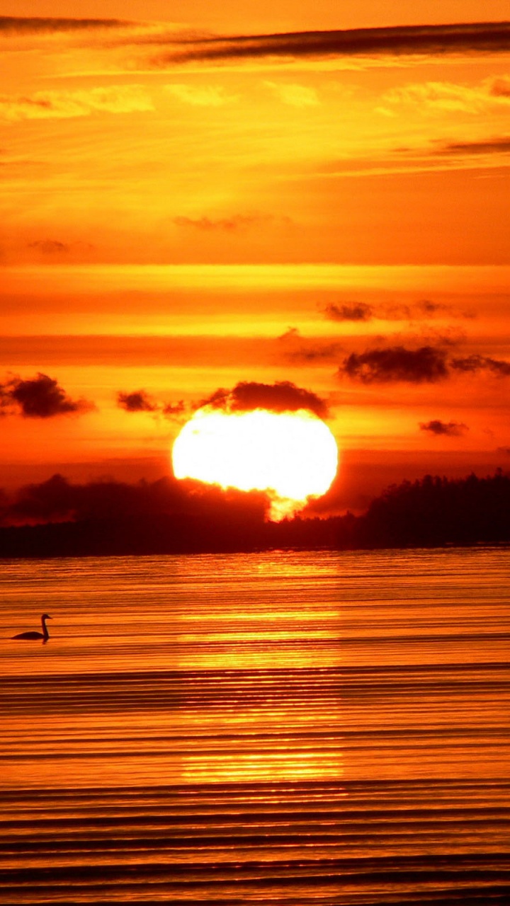 Обои восход солнца, закат, горизонт, солнце, послесвечение в разрешении 720x1280