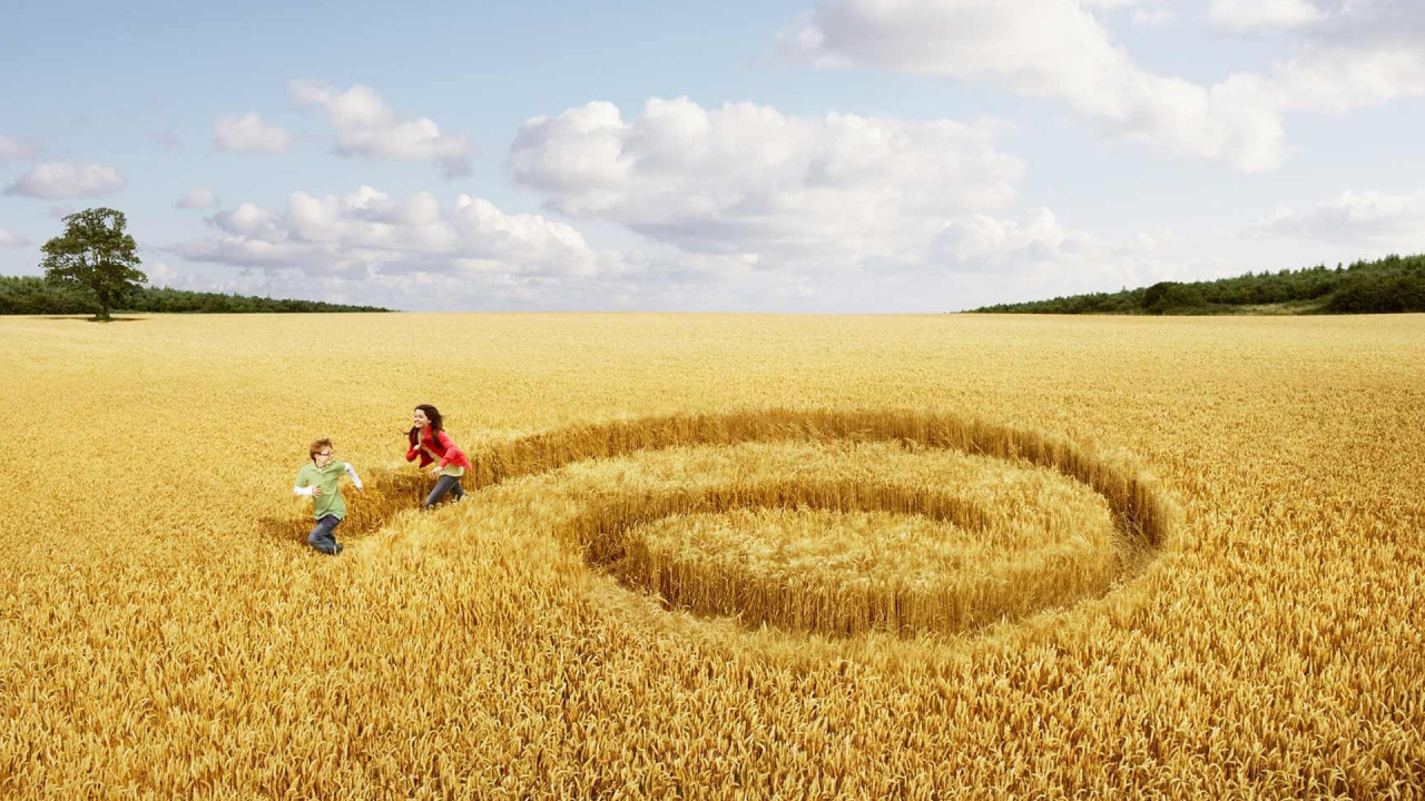 Обои жатва, сельское хозяйство, урожай, семейство травы, сестра в разрешении 1280x720