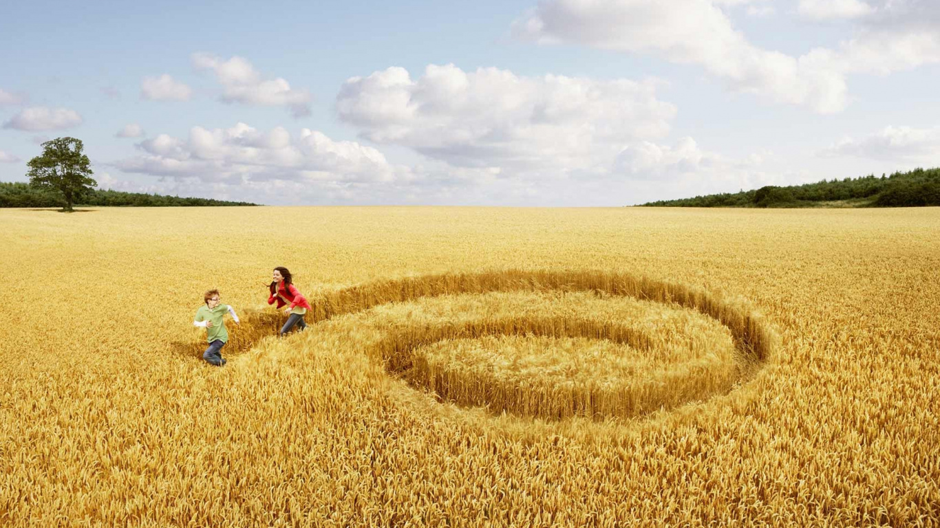 Обои жатва, сельское хозяйство, урожай, семейство травы, сестра в разрешении 1366x768