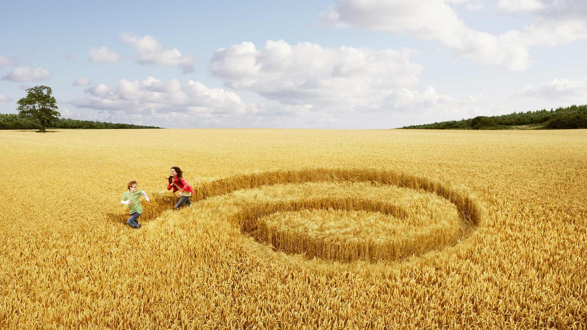 Обои жатва, сельское хозяйство, урожай, семейство травы, сестра в разрешении 1920x1080