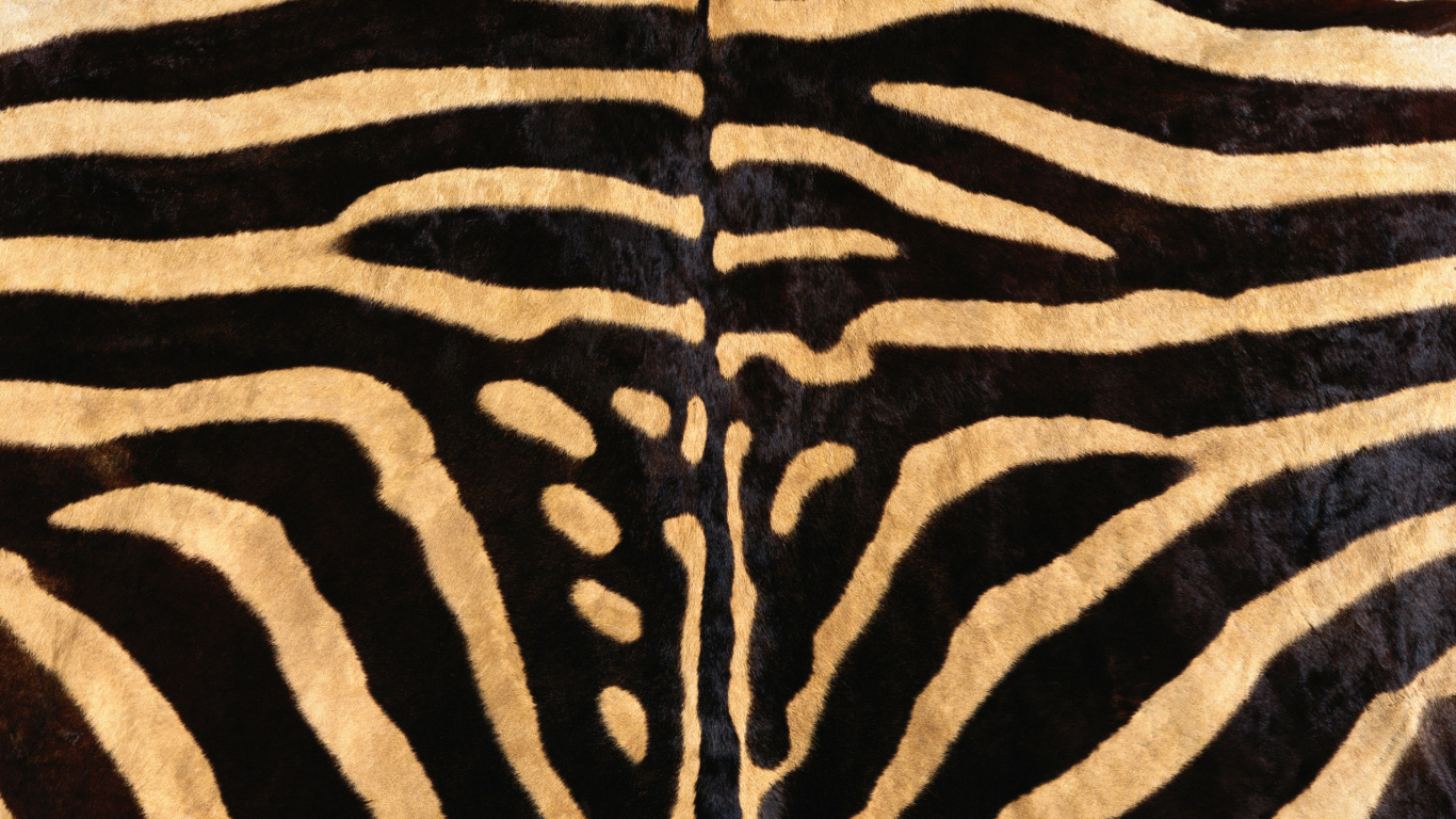 Обои животных печати, живая природа, узор, наземные животные, мех в разрешении 1366x768