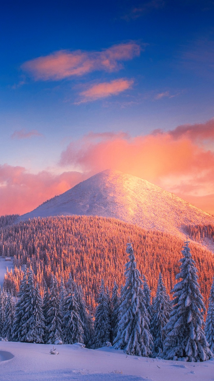 Обои гора, зима, снег, дерево, природа в разрешении 720x1280