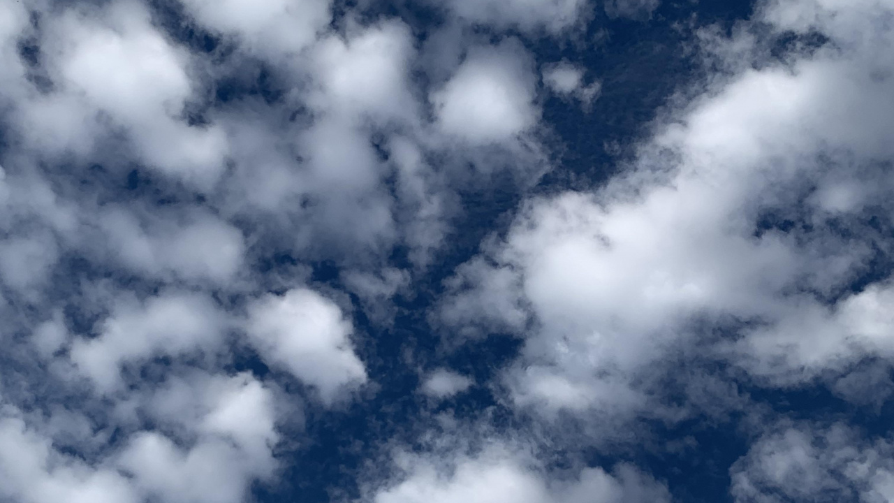 Обои облако, вода, синий, растение, кучевое облако в разрешении 1280x720