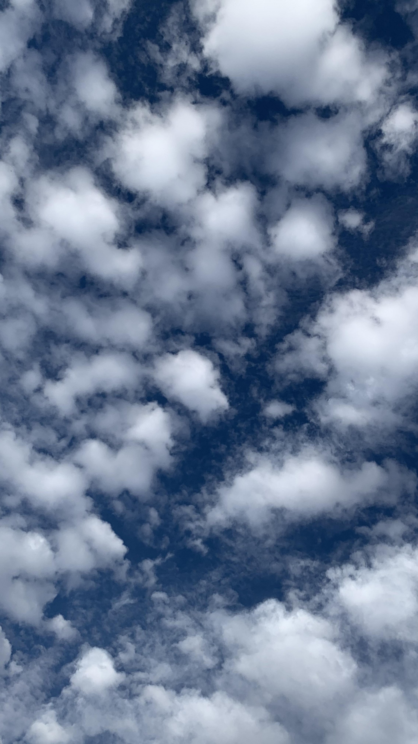 Обои облако, вода, синий, растение, кучевое облако в разрешении 1440x2560