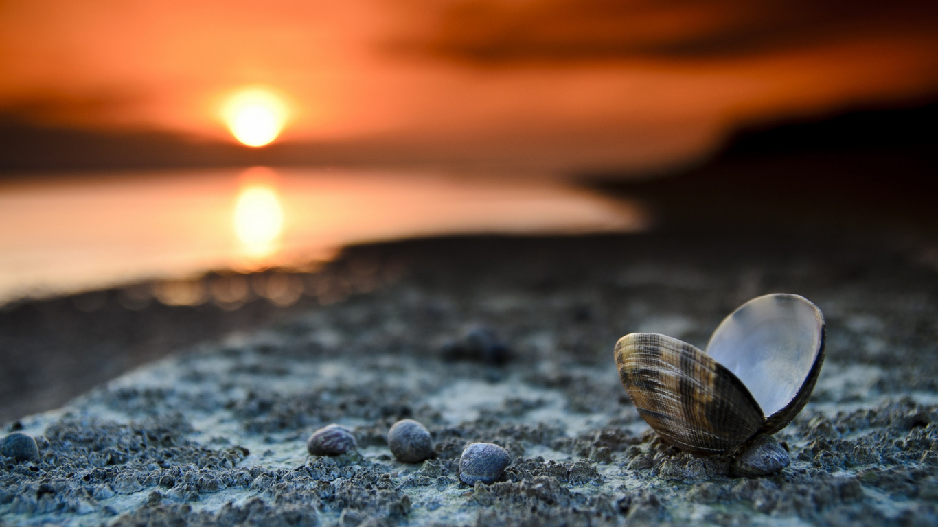 Обои солнечный свет, скалы, вечер, макросъемка, рок в разрешении 1366x768