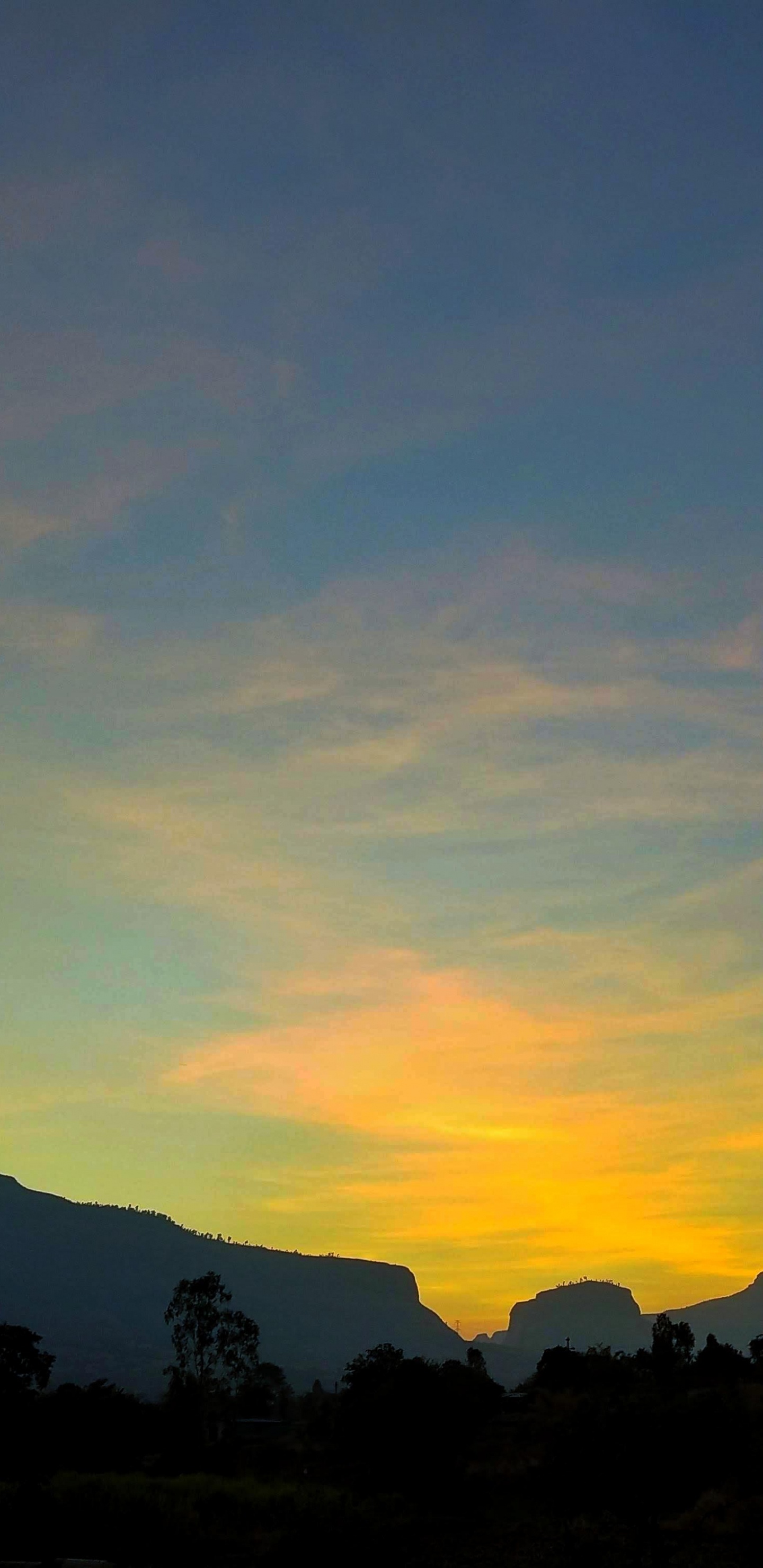 Обои облако, экорегион, послесвечение, растение, природный ландшафт в разрешении 1440x2960