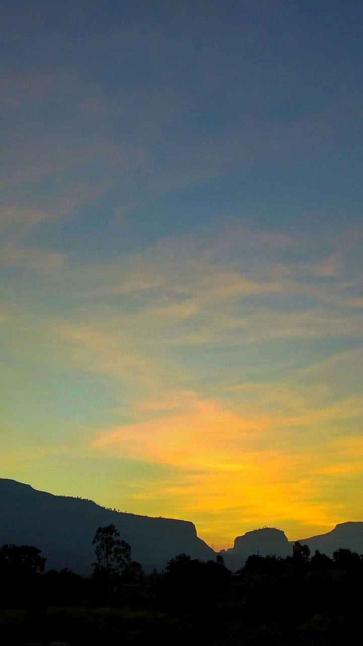 Обои облако, экорегион, послесвечение, растение, природный ландшафт в разрешении 720x1280