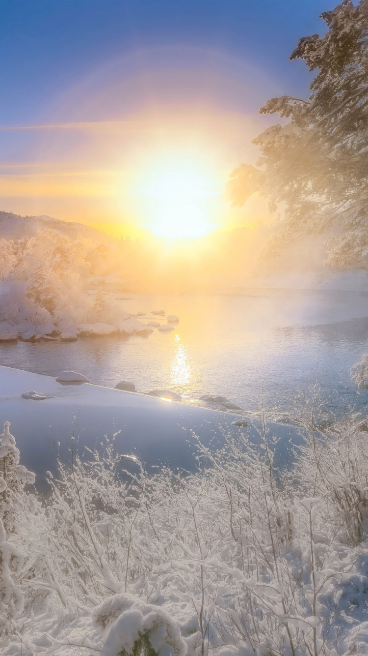 Обои закат, природа, отражение, утро, зима в разрешении 750x1334