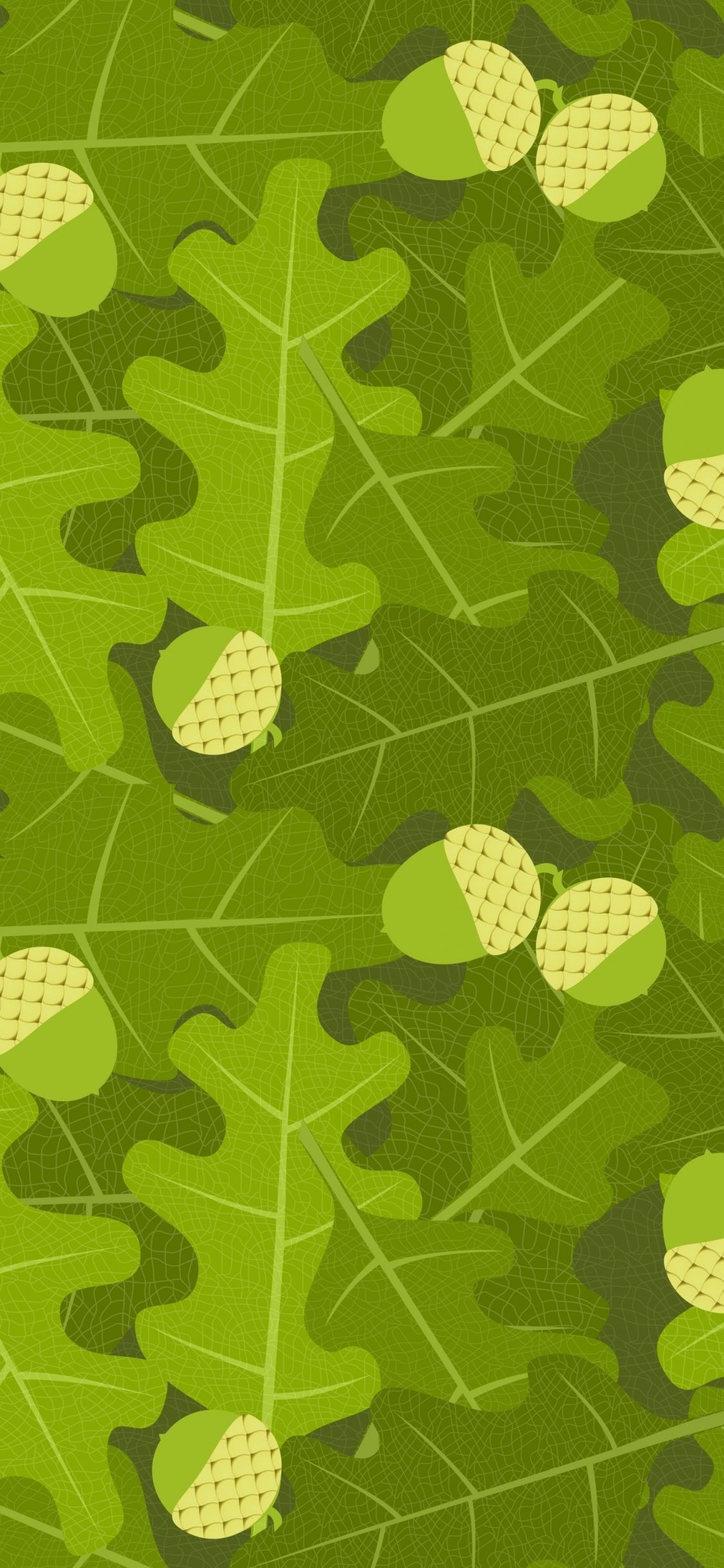 Обои дуб, желудь, зеленый, лист, узор в разрешении 1125x2436