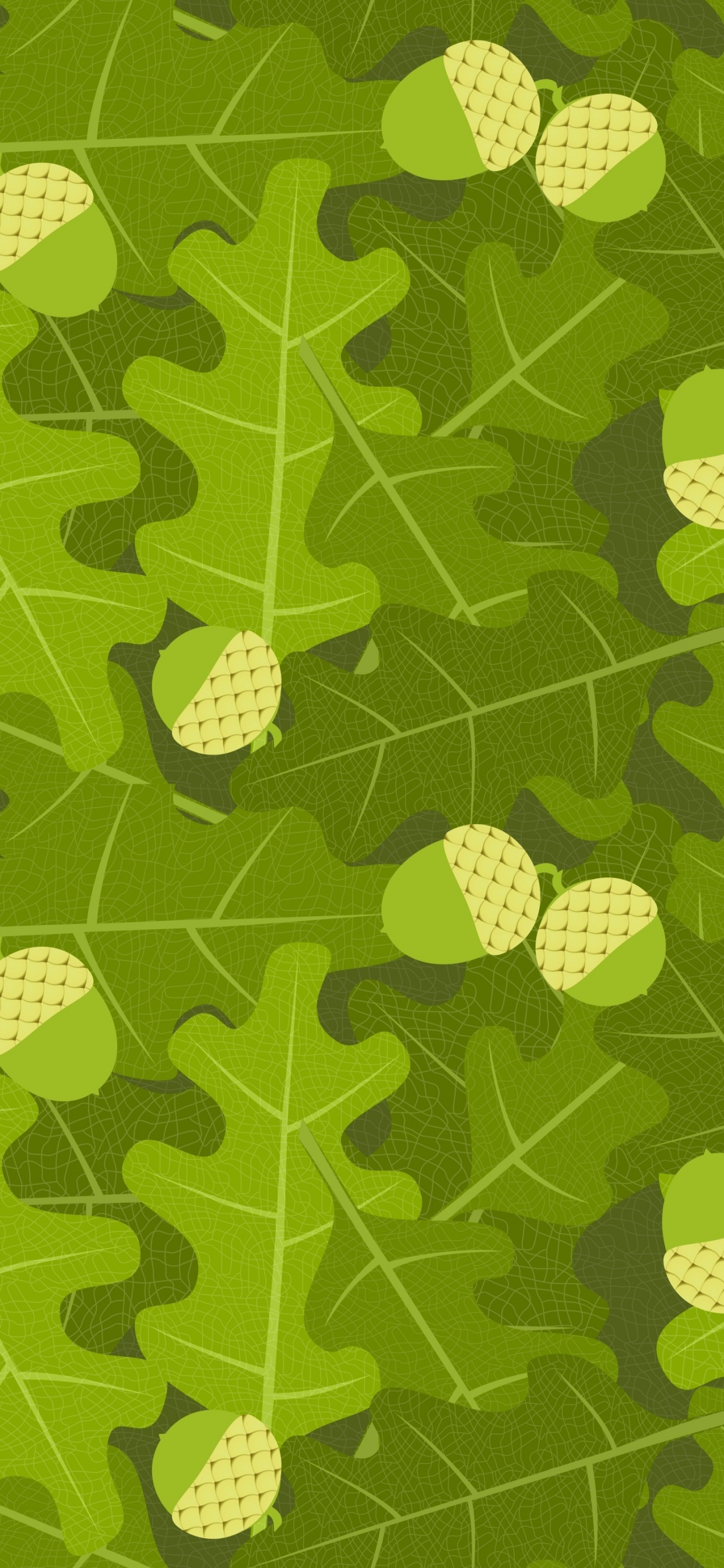 Обои дуб, желудь, зеленый, лист, узор в разрешении 1242x2688