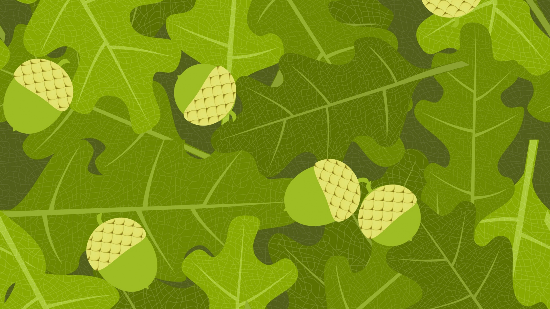 Обои дуб, желудь, зеленый, лист, узор в разрешении 1920x1080