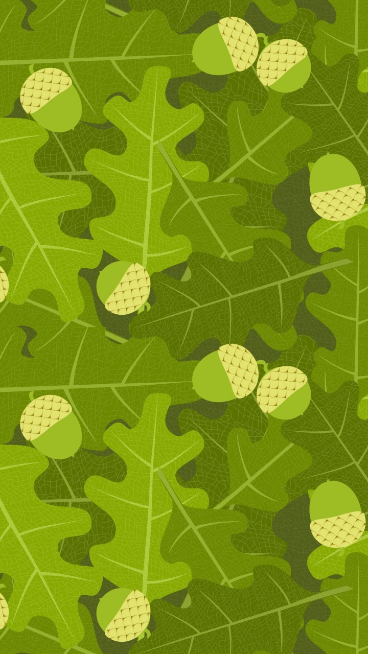 Обои дуб, желудь, зеленый, лист, узор в разрешении 720x1280