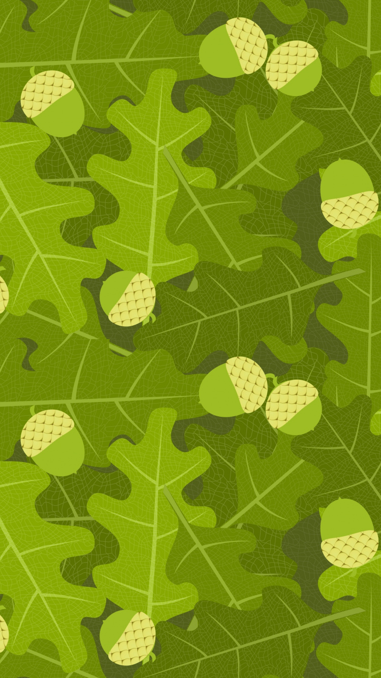 Обои дуб, желудь, зеленый, лист, узор в разрешении 750x1334