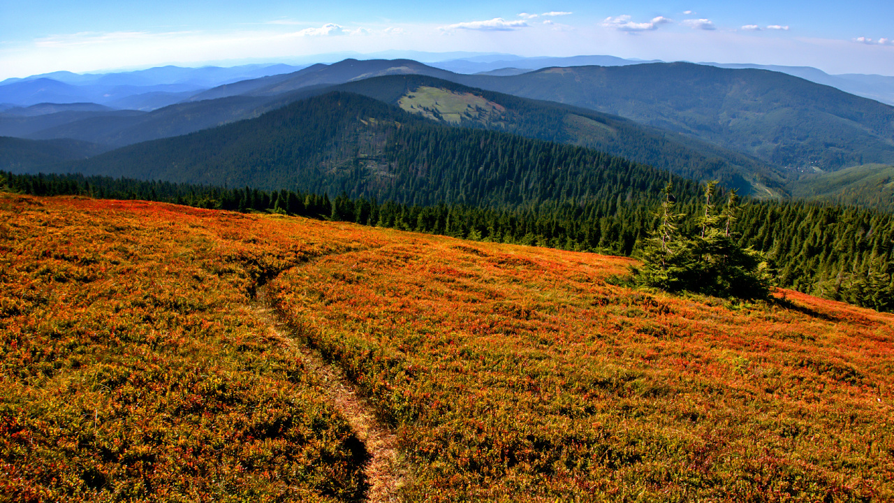 Обои дикая местность, гора, растение, растительное сообщество, окружающая среда в разрешении 1280x720