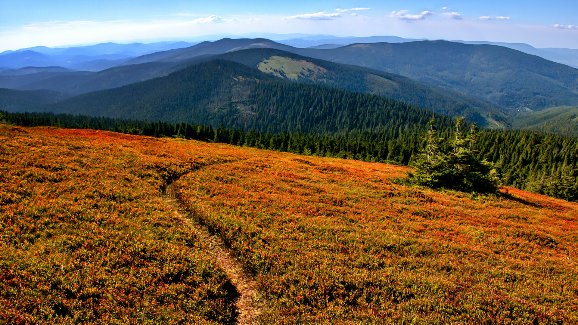 Обои дикая местность, гора, растение, растительное сообщество, окружающая среда в разрешении 1920x1080