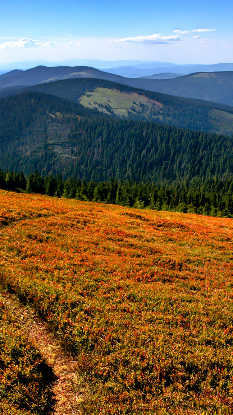 Обои дикая местность, гора, растение, растительное сообщество, окружающая среда в разрешении 750x1334