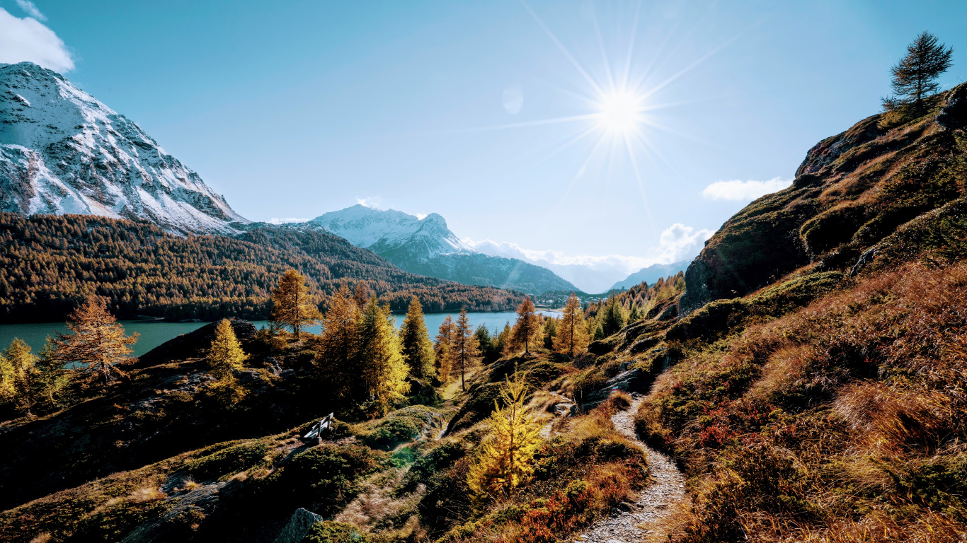 Обои природа, спасибо за праздник, растение, гора, экорегион в разрешении 1366x768