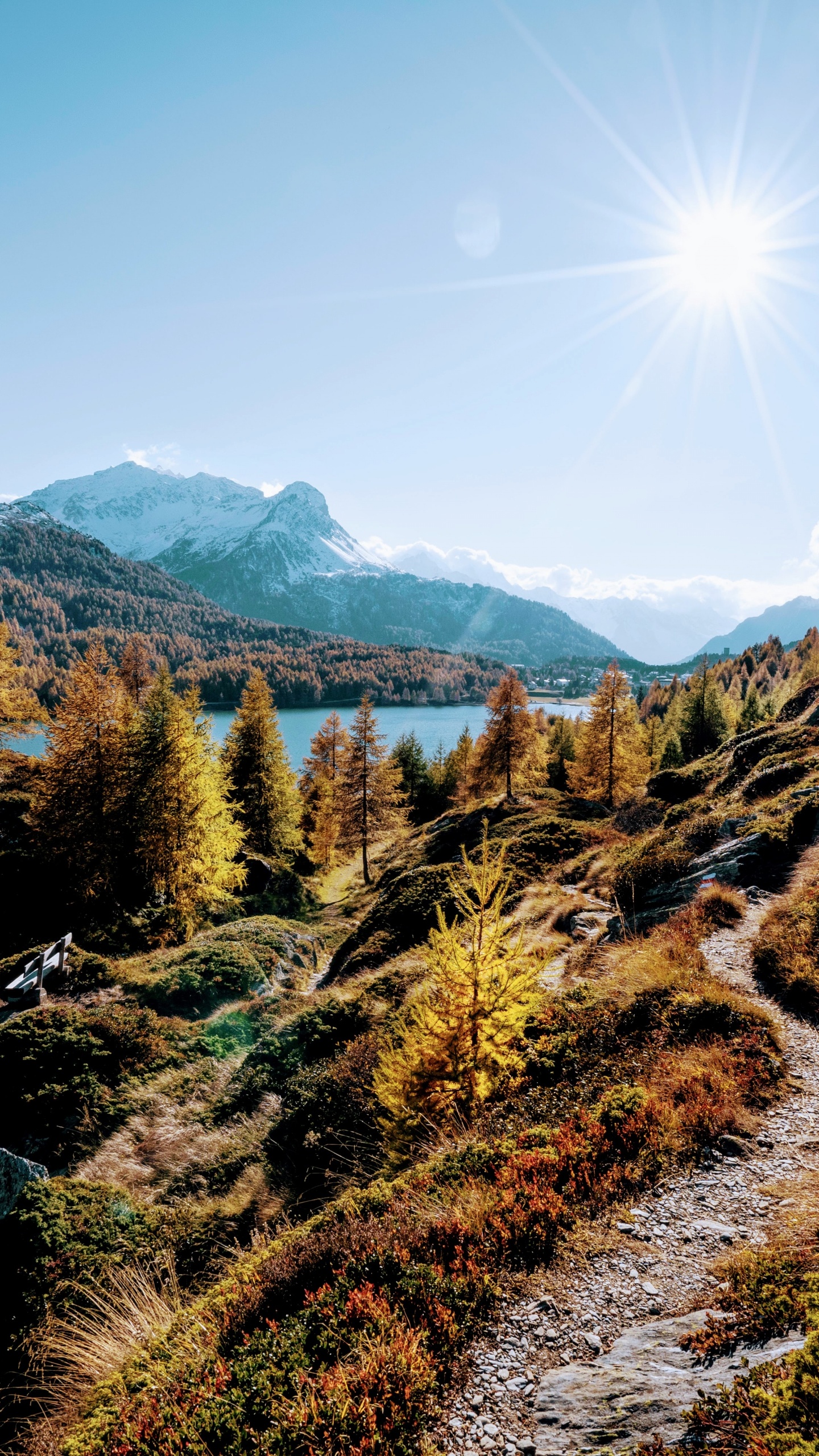 Обои природа, спасибо за праздник, растение, гора, экорегион в разрешении 1440x2560