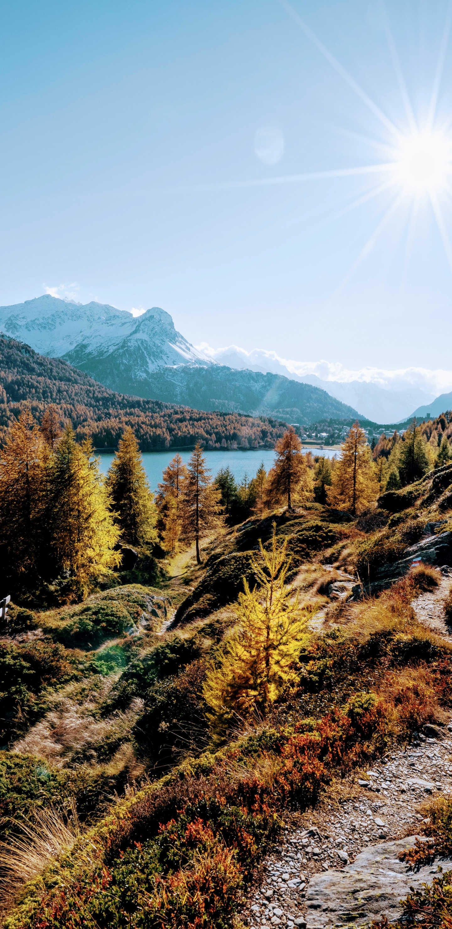 Обои природа, спасибо за праздник, растение, гора, экорегион в разрешении 1440x2960